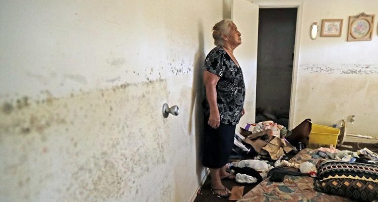mold inspection Charlotte, NC | best mold inspection in NC | mold issue in home
