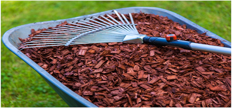 5 Mulch Mistakes People Make