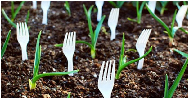 plastic-forks-garden