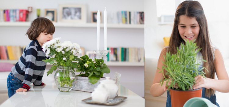 How to Nurture Your Flowers Indoors