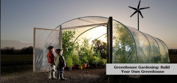 Greenhouse Gardening: Build Your Own Greenhouse