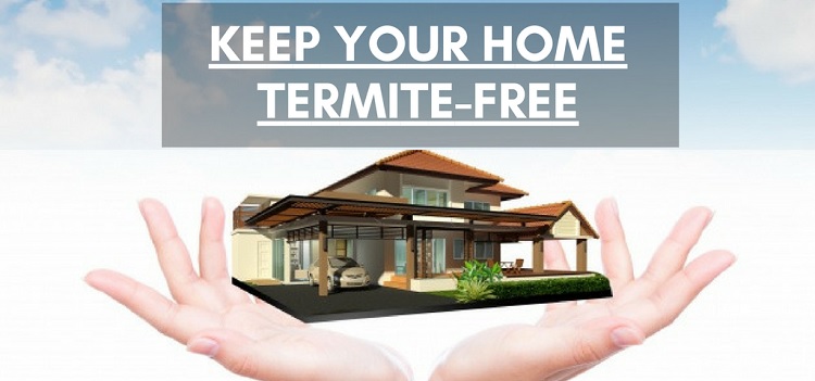Termite Free home