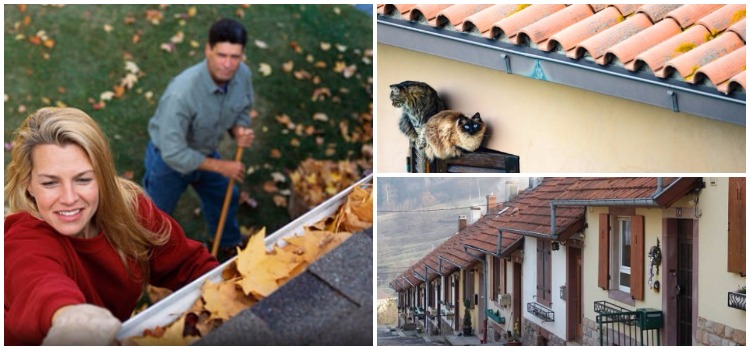 Things to Take into Consideration When Selecting Your Homes Gutters