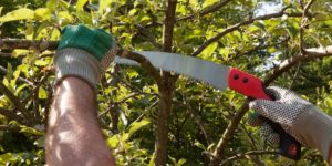 A pruning saw