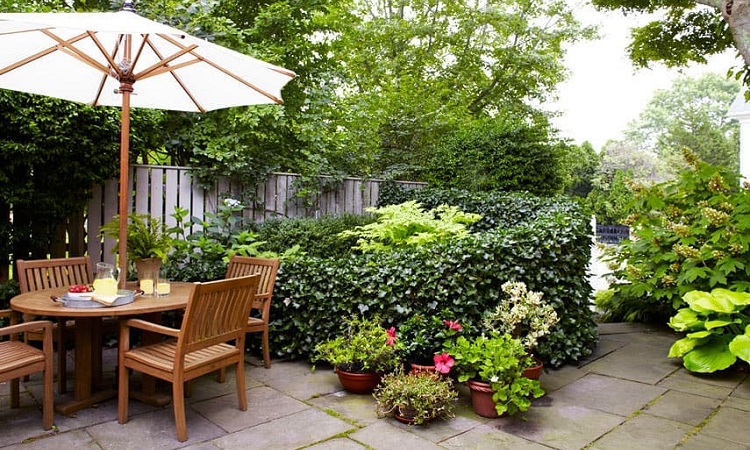 Add-in a Luxury Feel to Your Outdoor Space with Patio Umbrellas