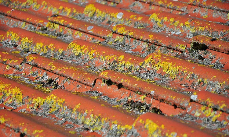 roof inspection | how to inspect roof damage