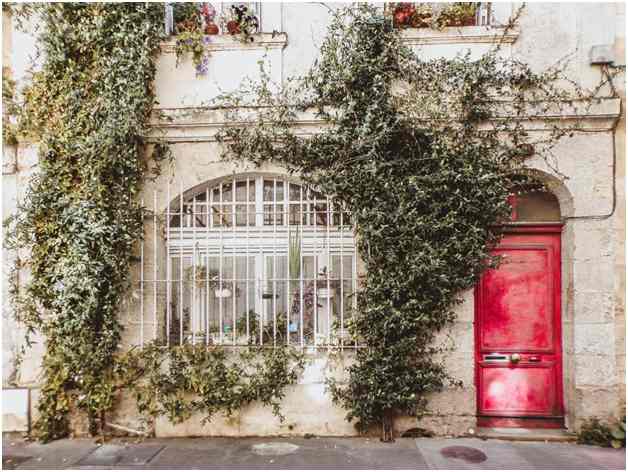 Front Door Improvements