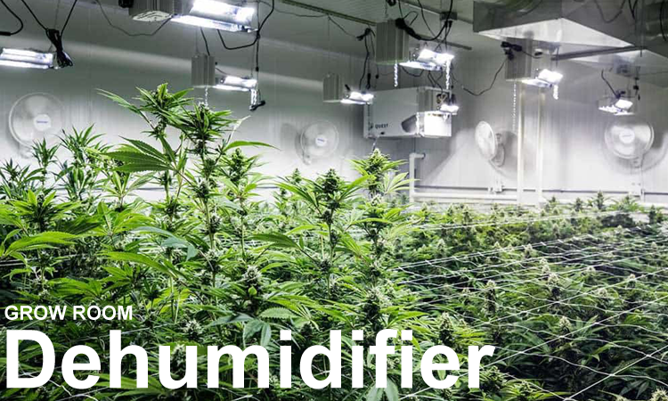 grow room dehumidifier