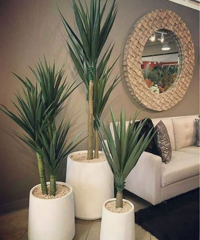 Indoor Decorative Plant Pots