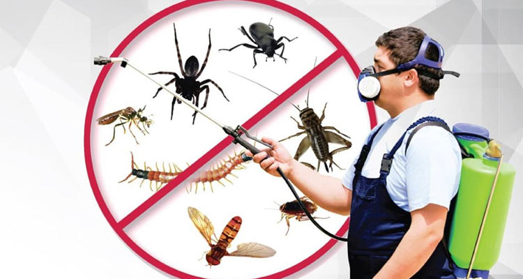 Protect Home From Pests