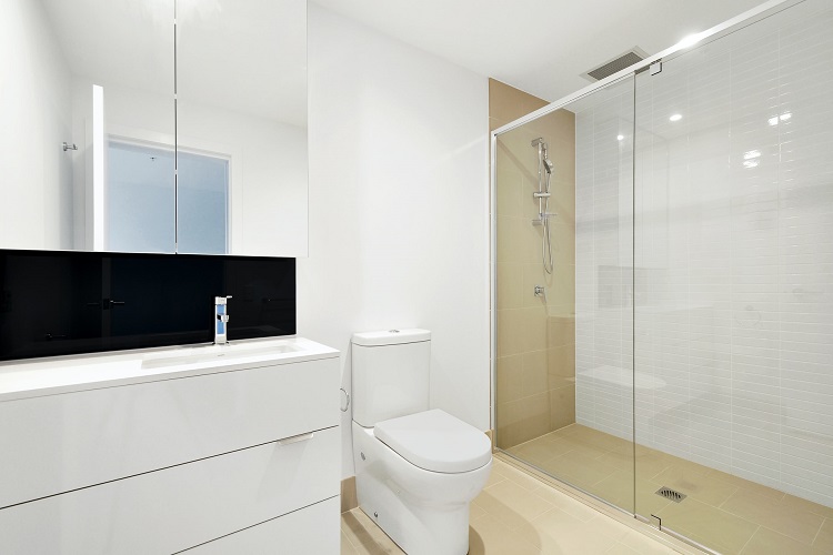 How exactly bidets offer a healthier greener option for your bathroom?
