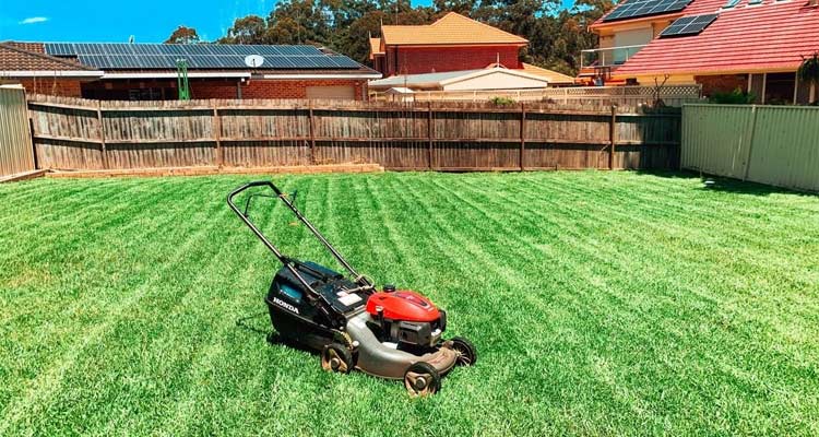 What is the Difference Between Lawn Maintenance & Lawn Care?