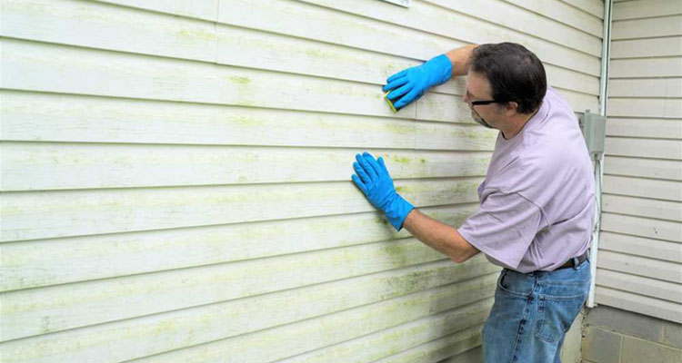 Tips and Tricks for Cleaning Vinyl Siding (and Why It’s Important!)