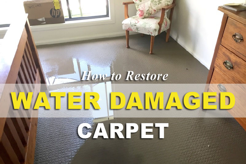 How to Restore Water-Damaged Carpet Without Professional Aid?