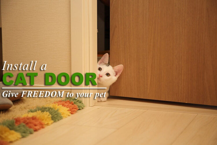 how to install a cat door insert
