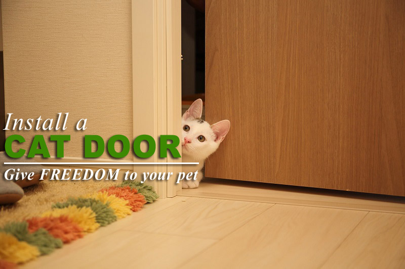 Everything You Need to Know Before You Install a Cat Door Insert