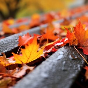 4 Ways that Ignoring Blocked Gutters Can Harm Your Home