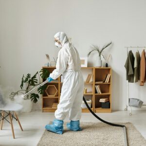 Population Growth Patterns and Their Influence on Pest Distribution